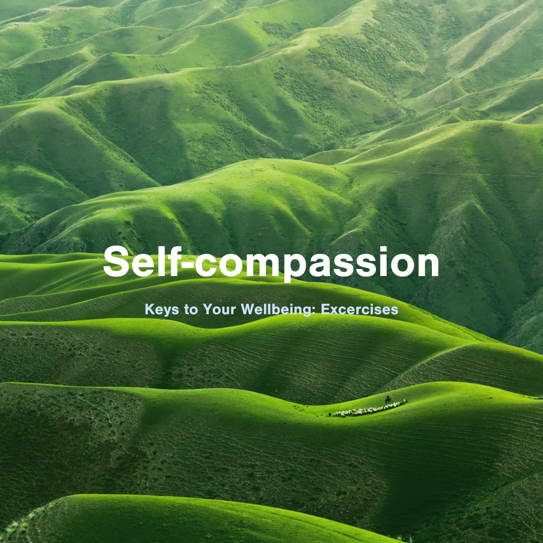 Self-compassion Excercise